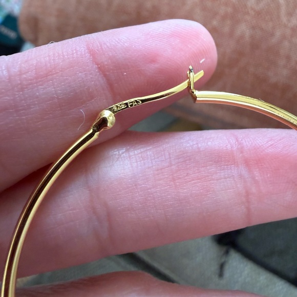 NWT Freida Rothman 925 FAS Hoop Earrings - Picture 3 of 4